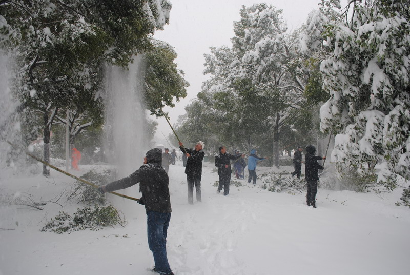 淮南師范學(xué)院召開抗雪防災(zāi)工作會議，加強校園安全工作