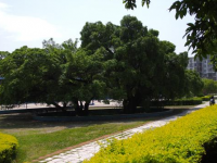 贛南師范學(xué)院科技學(xué)院2023年學(xué)費(fèi)、收費(fèi)多少