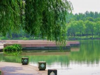 浙江農(nóng)林師范大學(xué)衣錦校區(qū)學(xué)費