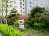 涿州幼師技師學院2023年學費、收費多少