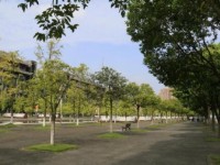 四川大學師范學院江安校區(qū)2023年學費、收費多少