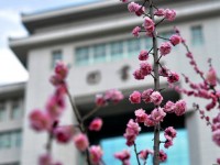 延安大學(xué)師范學(xué)院楊家?guī)X校區(qū)2023年學(xué)費(fèi)、收費(fèi)多少