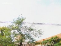 西安職業(yè)中等幼師專業(yè)學(xué)校2023年報(bào)名條件、招生要求、招生對(duì)象