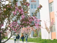 渭南職業(yè)技術(shù)師范學院朝陽校區(qū)2023年學費、收費多少