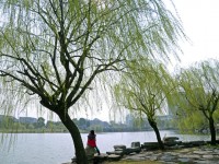 金華職業(yè)技術(shù)師范學院2023年學費、收費多少