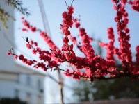 山東威海藝術(shù)幼兒師范學(xué)校2023年學(xué)費、收費多少