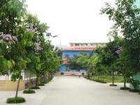 廣西現(xiàn)代職業(yè)技術師范學院2023年招生錄取分數線