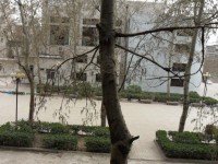 濟南職業(yè)師范學院舜耕校區(qū)2023年招生錄取分數線