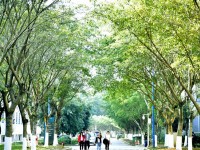 柳州城市職業(yè)師范學院2023年招生錄取分數線