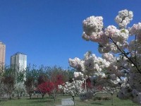 河北正定師范高等?？茖W(xué)校2023年招生錄取分?jǐn)?shù)線