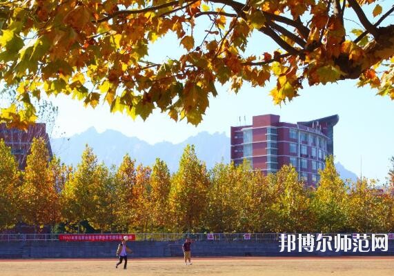 青島職業(yè)技術師范學院招生辦聯(lián)系電話
