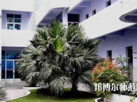 四川信息工程幼兒師范學(xué)校2023年報(bào)名條件、招生要求、招生對(duì)象