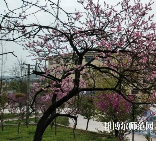 貴陽中華幼師職業(yè)學(xué)校2023年怎么樣、好不好