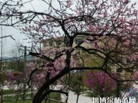 貴陽(yáng)中華幼師職業(yè)學(xué)校2023年怎么樣、好不好