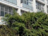貴州貴陽(yáng)中山科技幼兒師范學(xué)校2023年學(xué)費(fèi)、收費(fèi)多少