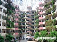 合江少岷幼兒師范職業(yè)技術(shù)學(xué)校2023年怎么樣、好不好