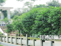 德陽通用電子科技幼兒師范學校2021年報名條件、招生要求、招生對象