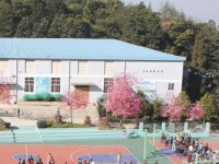 云南林業(yè)幼兒師范高級技工學(xué)校2023年學(xué)費、收費多少