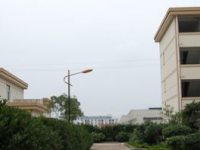 石家莊東方科技幼兒師范中等專業(yè)學(xué)校2023年招生錄取分數(shù)線