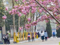 石家莊法商幼兒師范中等專業(yè)學(xué)校2023年學(xué)費、收費多少