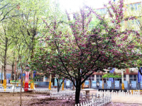 石家莊法商幼兒師范中等專(zhuān)業(yè)學(xué)校2023年報(bào)名條件、招生要求、招生對(duì)象