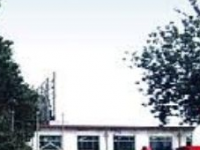 石家莊藝術(shù)幼兒師范職業(yè)學(xué)校2023年招生錄取分數(shù)線