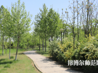 石家莊中英航空幼兒師范中等專業(yè)學(xué)校2023年怎么樣、好不好