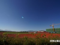 云南2020年初中生有哪些幼師學(xué)校？