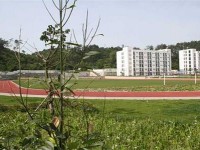 四川幼兒師范高等?？茖W(xué)校2023年招生簡章