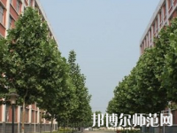 鄭州2020年哪些大學(xué)有幼師學(xué)校大專(zhuān)