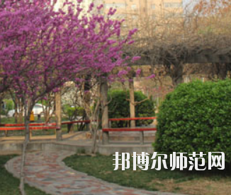 鄭州2020年幼師學(xué)?？梢詫W(xué)什么