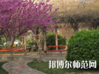 鄭州2020年幼師學(xué)?？梢詫W(xué)什么
