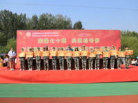 石家莊幼兒師范高等?？茖W(xué)校2023年是幾專
