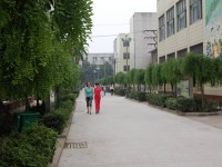 許昌幼兒師范學(xué)校2023年學(xué)費(fèi)、收費(fèi)多少