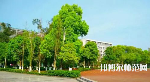 重慶市九龍坡幼師職業(yè)教育中心怎么樣、好不好。