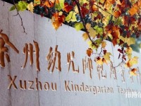 徐州幼兒師范高等?？茖W(xué)校有哪些專業(yè)