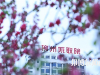 柳州城市職業(yè)師范學院2023年怎么樣、好不好