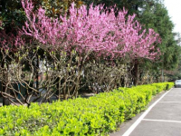 大同師范高等專科學(xué)校2023年招生錄取分數(shù)線