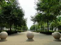 廣西現(xiàn)代職業(yè)技術(shù)師范學(xué)院2023年報名條件、招生要求、招生對象