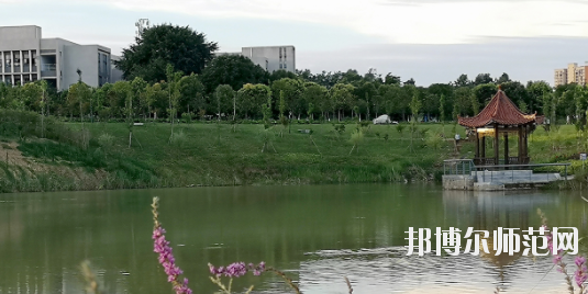 四川2021年可以讀小學(xué)教育學(xué)校的大專(zhuān)學(xué)校