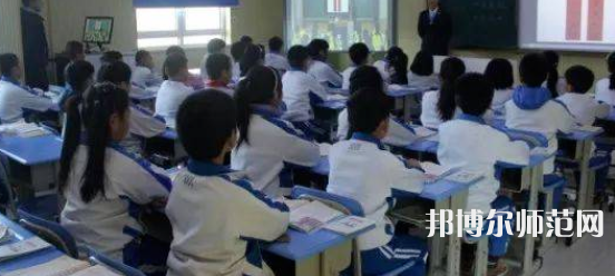 四川2022年小學(xué)教育學(xué)校什么專(zhuān)業(yè)有前途
