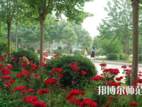 河南科技職業(yè)師范大學(xué)2023年報(bào)名條件、招生要求、招生對(duì)象