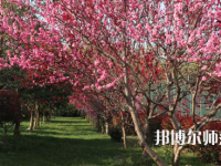 河南科技職業(yè)師范大學(xué)2023年怎么樣、好不好