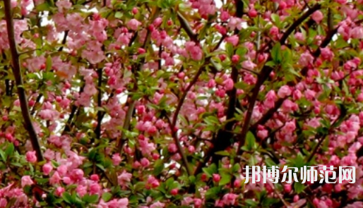 鄭州大學(xué)師范學(xué)院南校區(qū)2023年怎么樣、好不好
