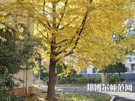 北京京北職業(yè)師范技術學院2023年報名條件、招生要求、招生對象