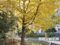 北京京北職業(yè)師范技術學院2023年報名條件、招生要求、招生對象