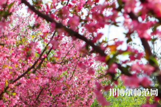 鄭州大學師范學院主校區(qū)2023年報名條件、招生要求、招生對象