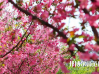 鄭州大學(xué)師范學(xué)院主校區(qū)2023年報(bào)名條件、招生要求、招生對象