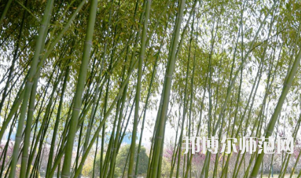 周口職業(yè)技術(shù)師范學院開元校區(qū)2023年報名條件、招生要求、招生對象