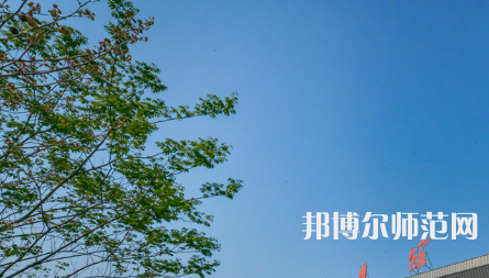 河南開(kāi)封科技傳媒師范學(xué)院2023年招生計(jì)劃